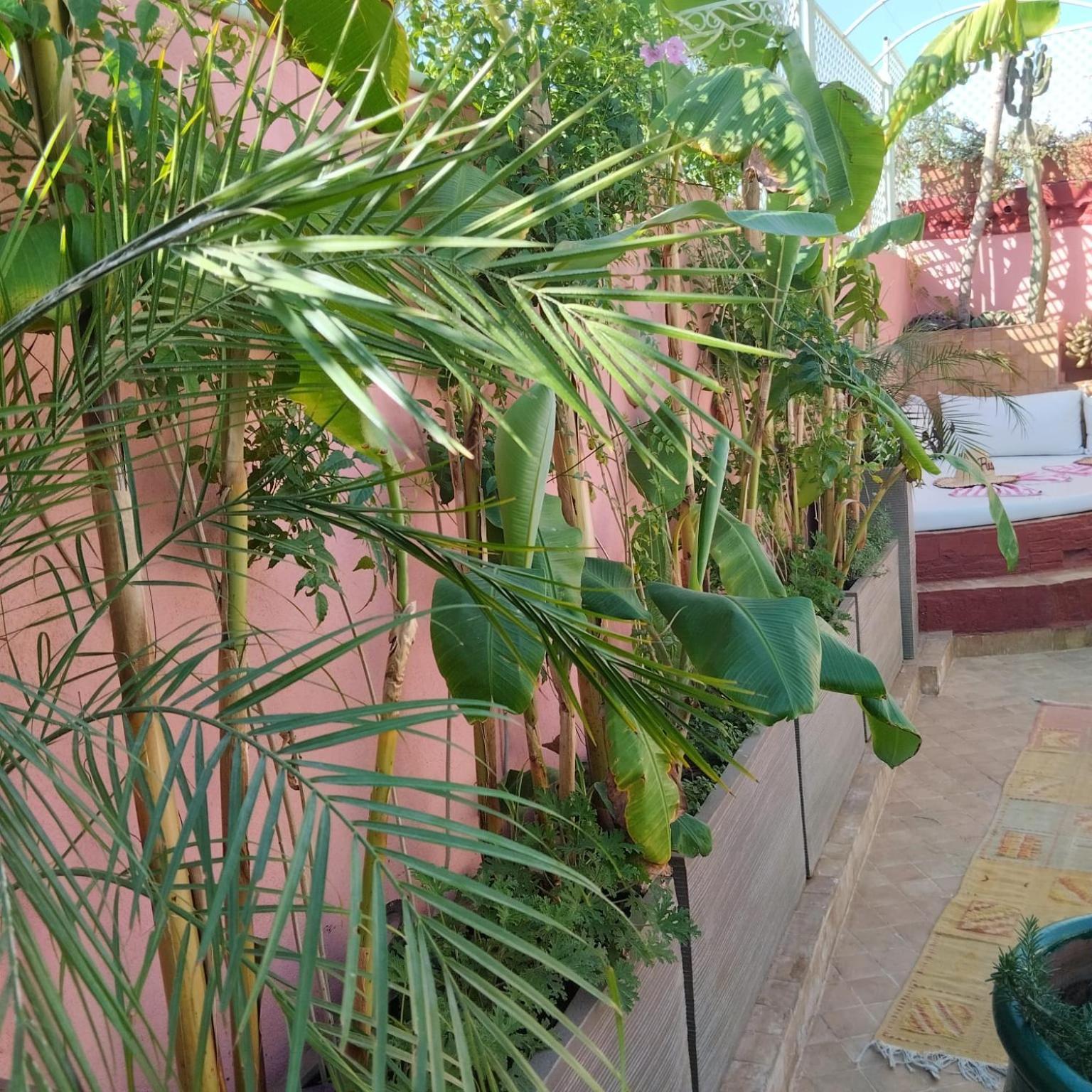 Riad Charcam Marrakesh Exterior foto